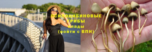 jwh Белокуриха