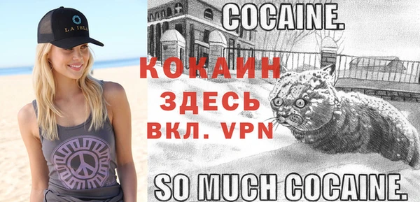 хмурый Ладушкин