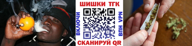 Конопля гибрид  Сковородино 